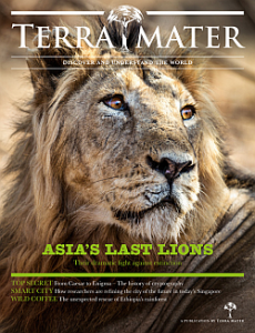 Cover TerraMater 1302